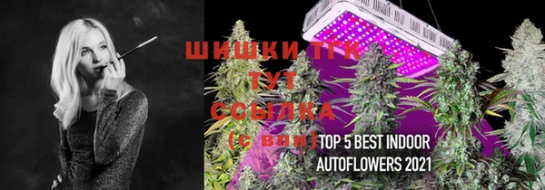 ешки Богородицк